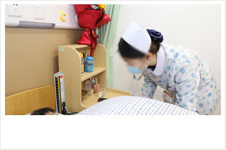 宠物火化